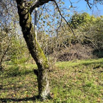 Продается Участок, 0 м²