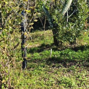 Продается Участок, 0 м²