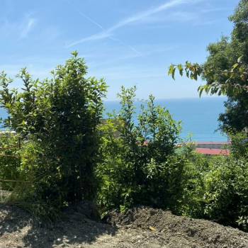 Продается Участок, 350 м²