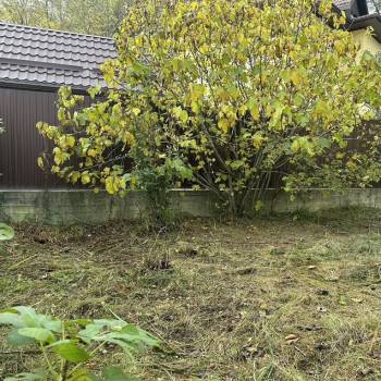 Продается Участок, 0 м²