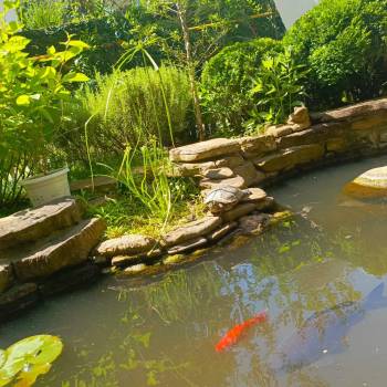 Сдается Дом, 45 м²