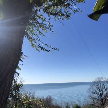 Продается Участок, 350 м²