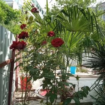 Сдается Дом, 106 м²