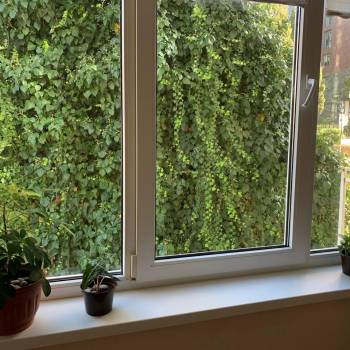 Сдается 2-х комнатная квартира, 53 м²