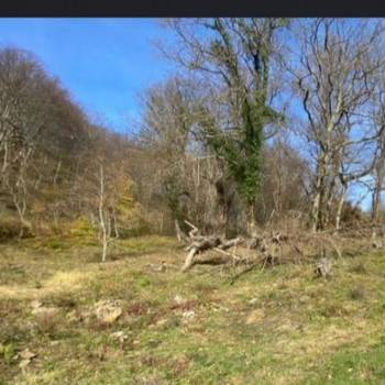 Продается Участок, 0 м²