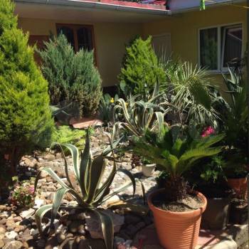 Сдается Комната, 20 м²