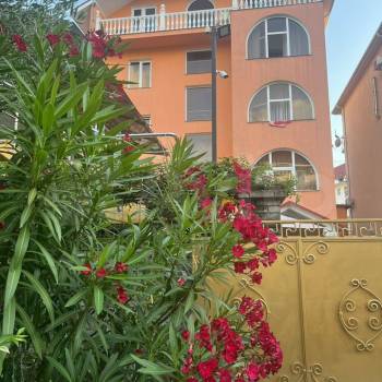 Сдается Комната, 25 м²