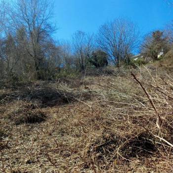 Продается Участок, 790 м²