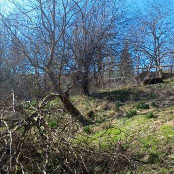 Продается Участок, 790 м²