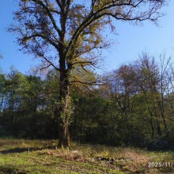 Продается Участок, 0 м²