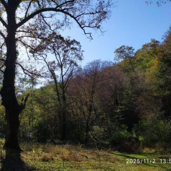 Продается Участок, 0 м²