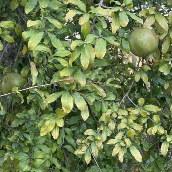 Продается Участок, 0 м²