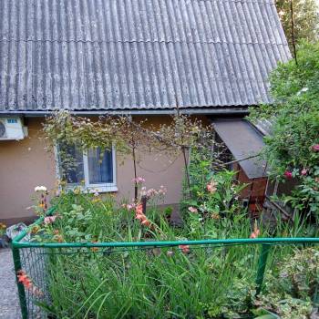 Сдается Дом, 40 м²