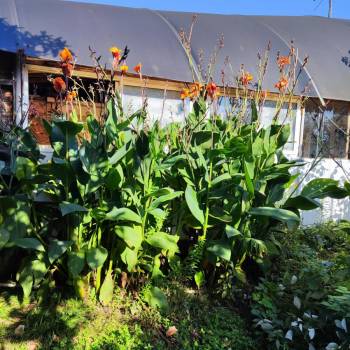 Сдается Дом, 25 м²