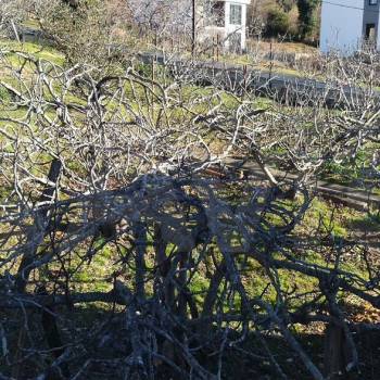 Продается Дом, 237 м²