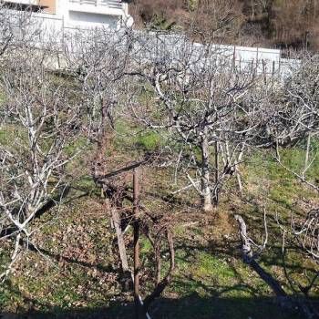 Продается Дом, 237 м²