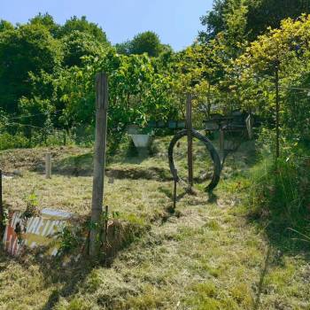 Продается Участок, 0 м²