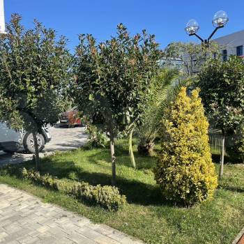 Продается 1-комнатная квартира, 23 м²