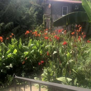 Продается Дом, 300 м²