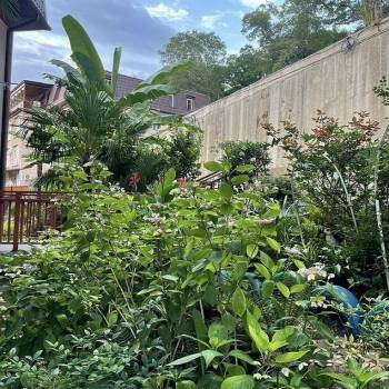 Продается 1-комнатная квартира, 18 м²