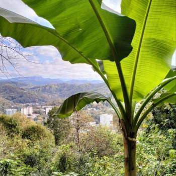 Продается Дом, 70 м²