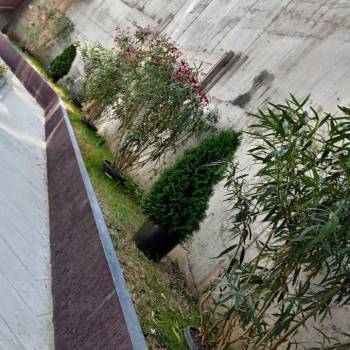 Продается 1-комнатная квартира, 19,3 м²