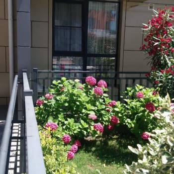 Сдается 1-комнатная квартира, 28 м²