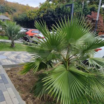 Продается 1-комнатная квартира, 29 м²