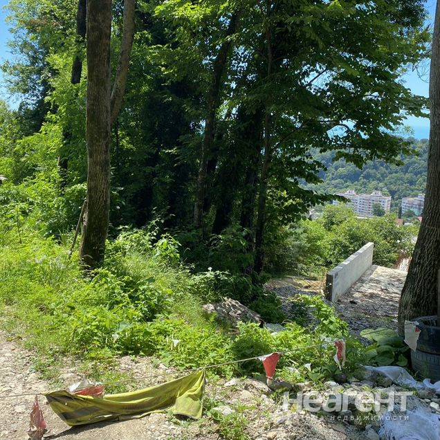 Фотография №2