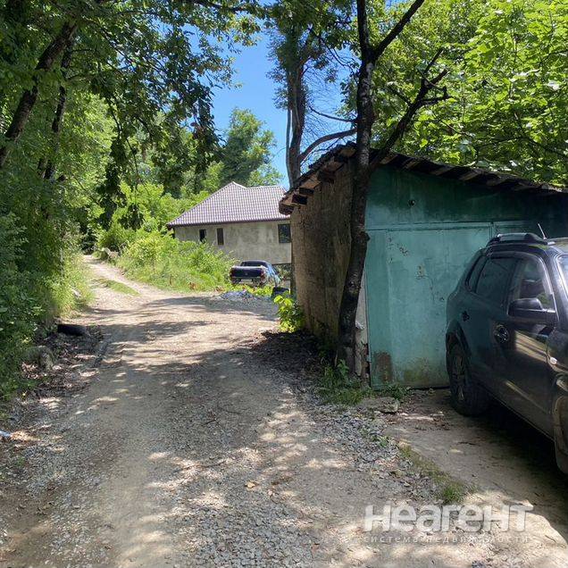 Фотография №5