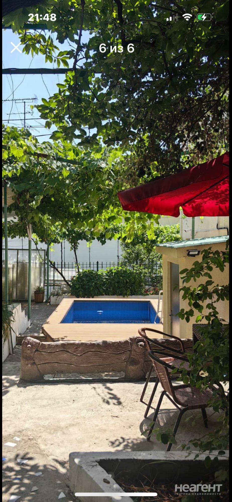 Фотография №4