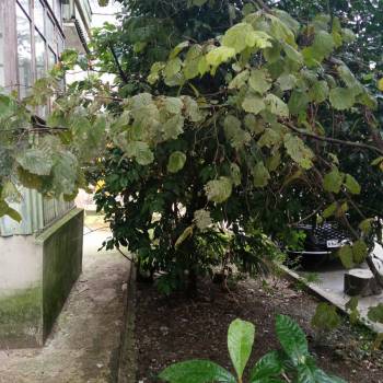 Продается 2-х комнатная квартира, 42,7 м²