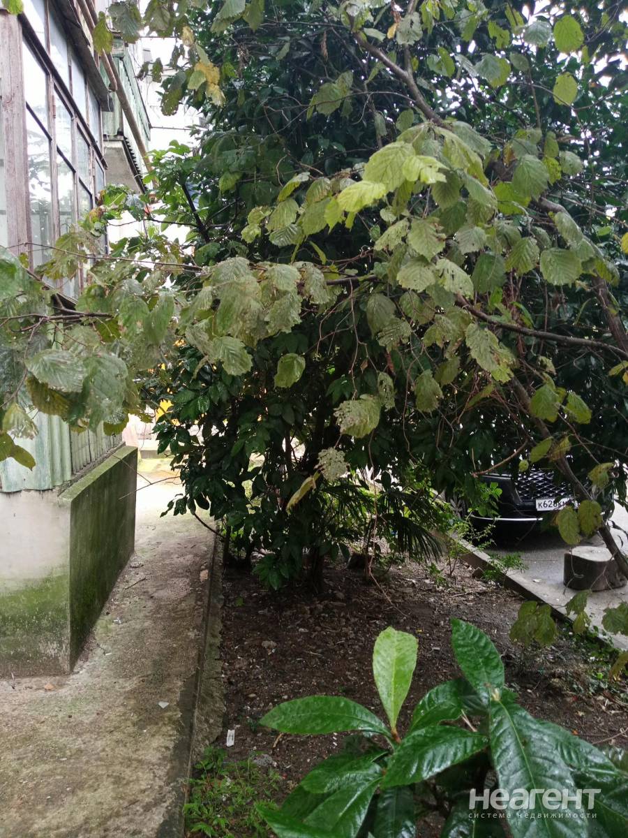 Фотография №4