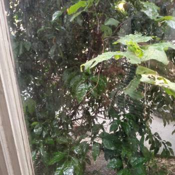 Продается 2-х комнатная квартира, 42,7 м²