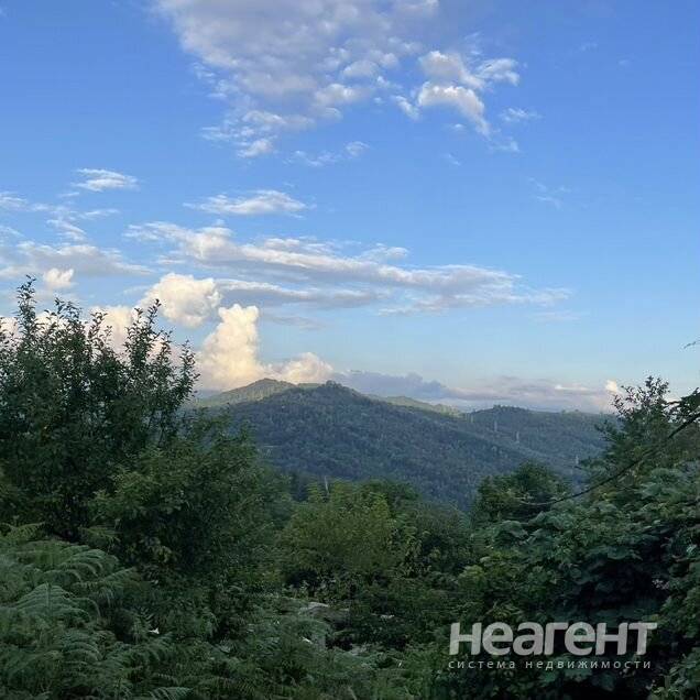 Фотография №2