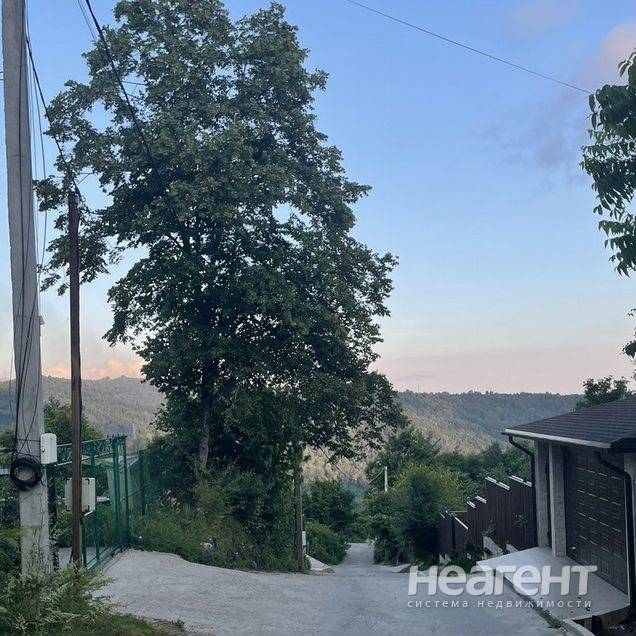 Фотография №3