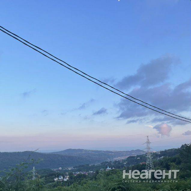 Фотография №5