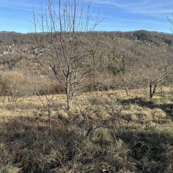 Продается Участок, 0 м²