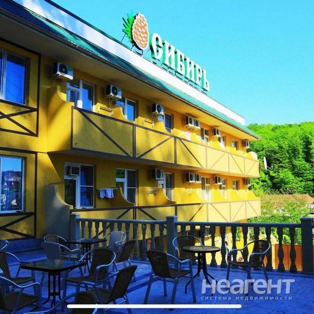 Фотография №5