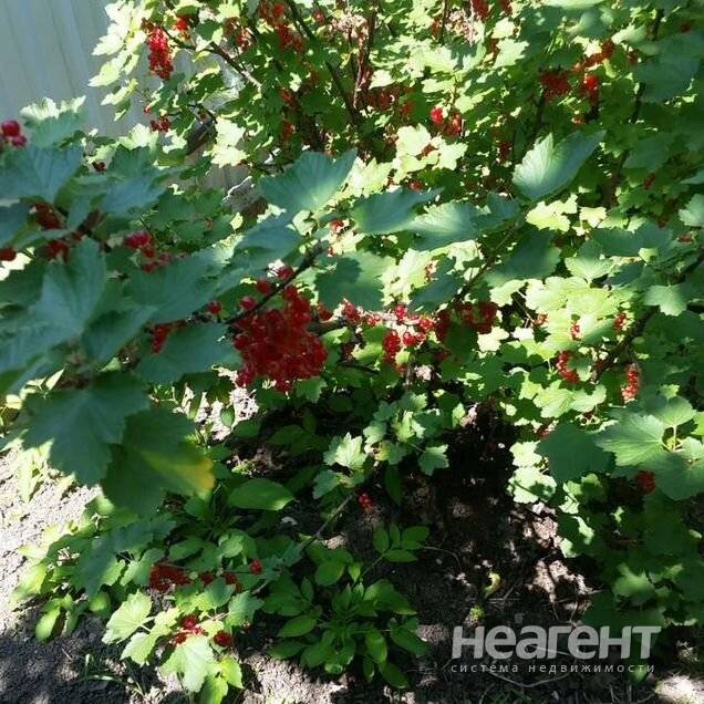 Фотография №2