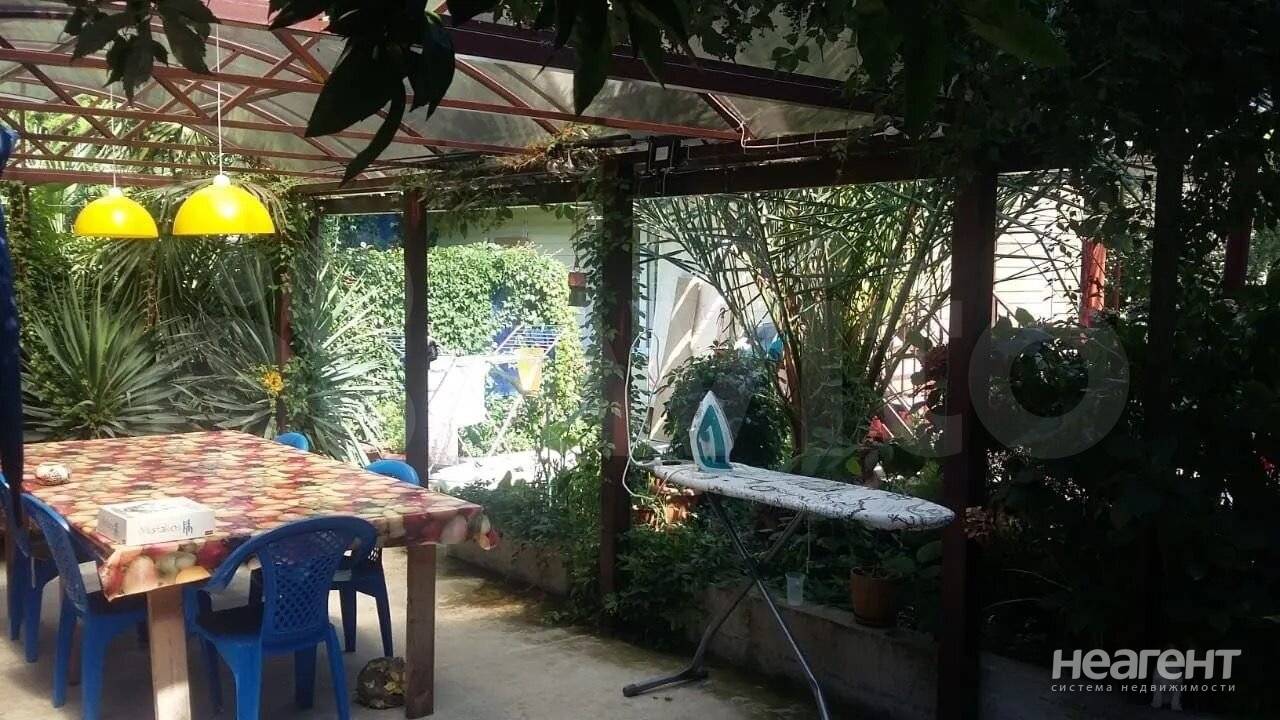 Фотография №3