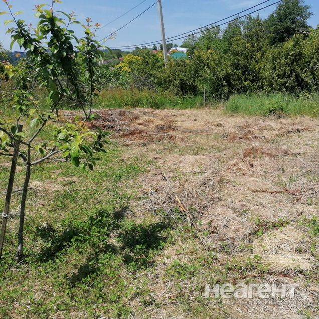 Фотография №2