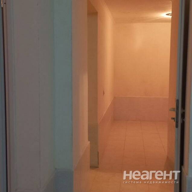 Фотография №2