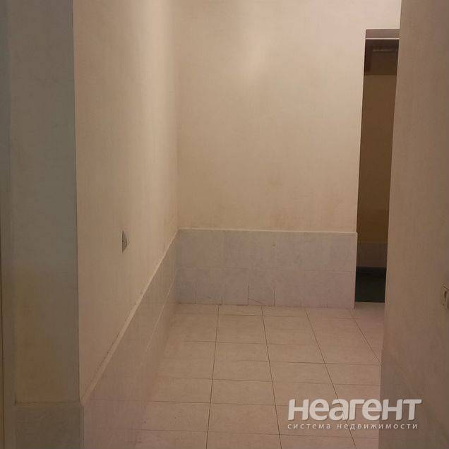 Фотография №3