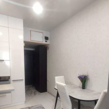 Продается 1-комнатная квартира, 23,9 м²