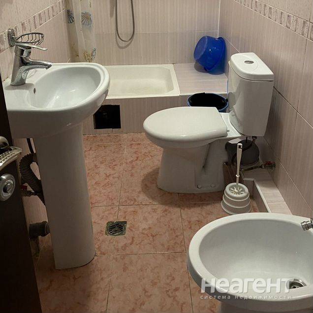 Фотография №4