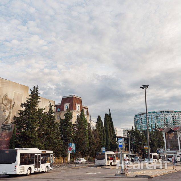 Фотография №3