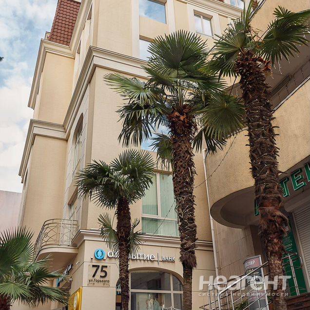 Фотография №5