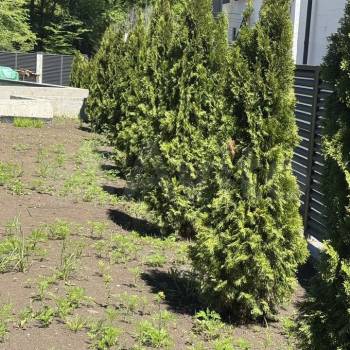 Продается Дом, 310 м²