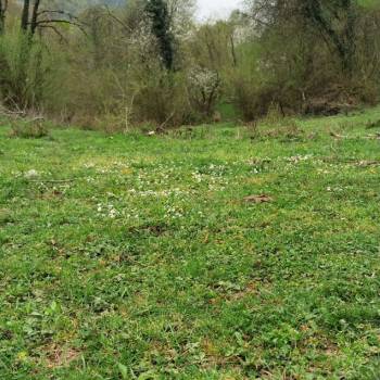 Продается Участок, 1000 м²